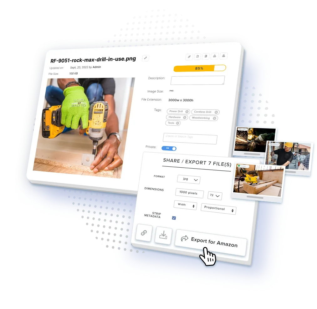 catsy-digital-asset-management-system-dashboard