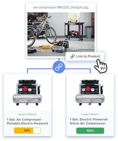 What Are Digital Assets?